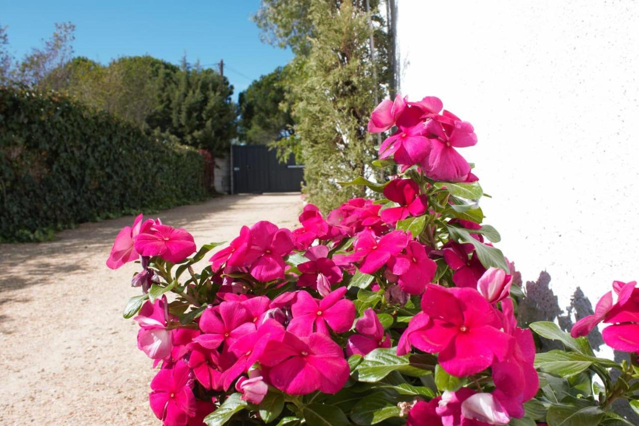 Finca Paredes Valdetorres de Jarama Extérieur photo