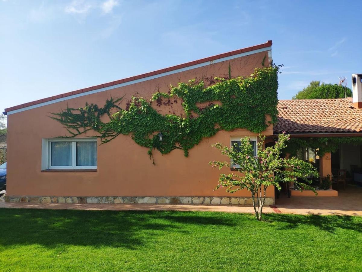 Finca Paredes Valdetorres de Jarama Extérieur photo
