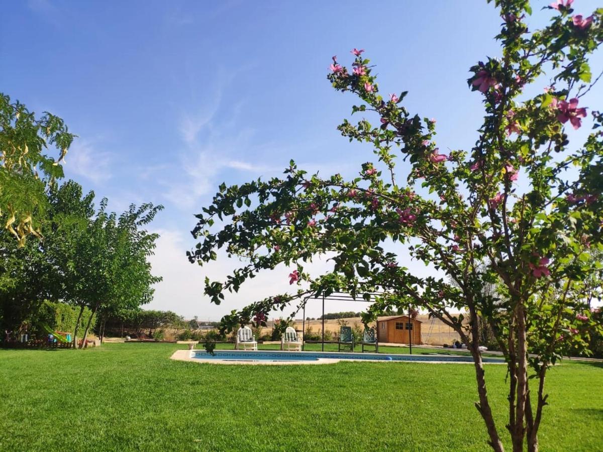Finca Paredes Valdetorres de Jarama Extérieur photo