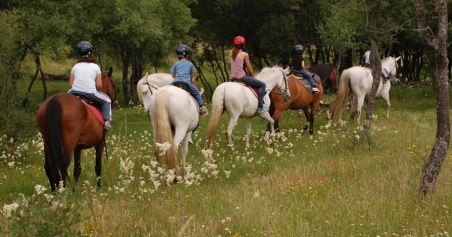 Finca Paredes Valdetorres de Jarama Extérieur photo